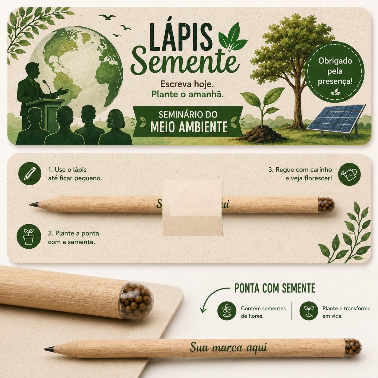 Lápis Semente Kit Papelaria